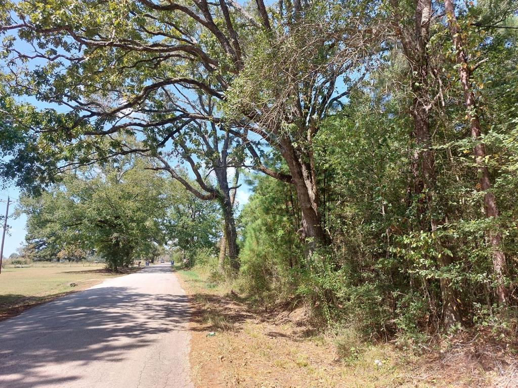 Hawthorne Road, New Waverly, Texas image 10