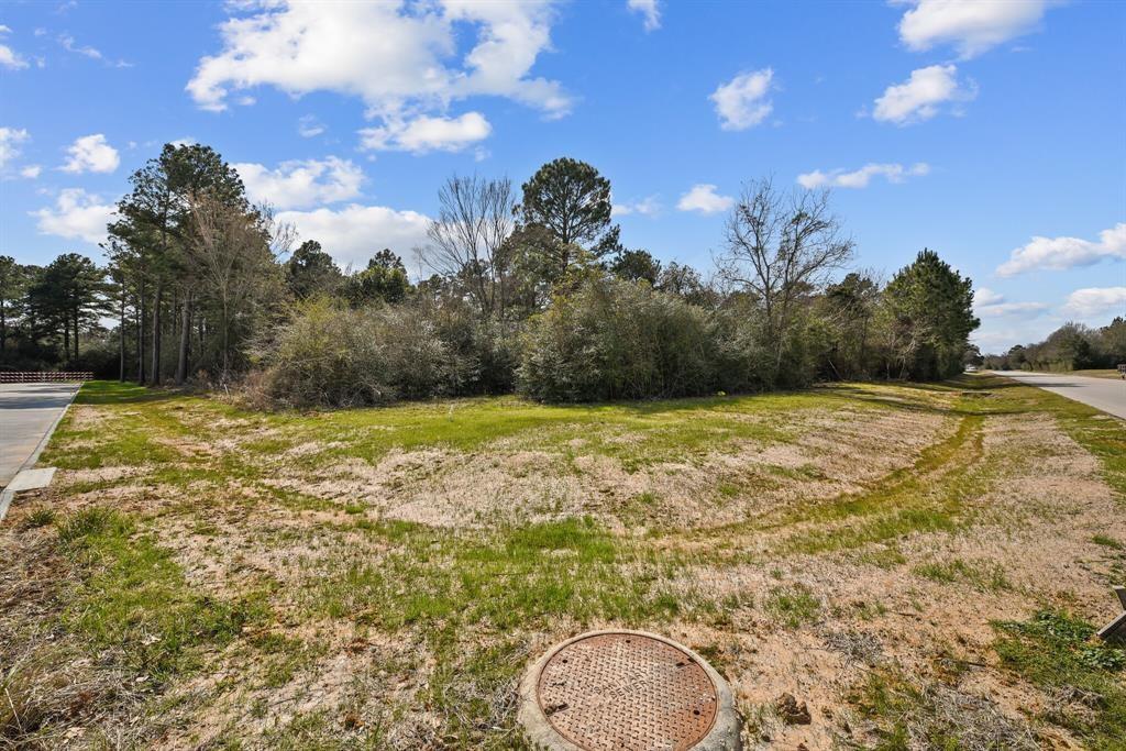 School Street, Tomball, Texas image 6