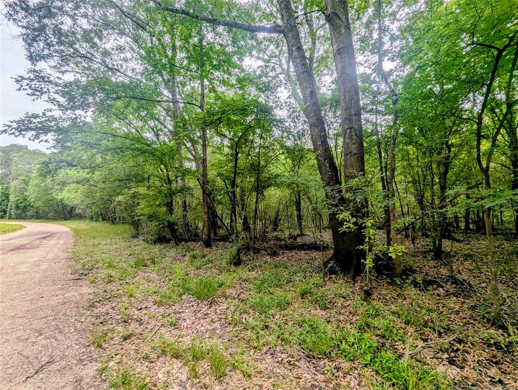 TBD Royal Estates Drive