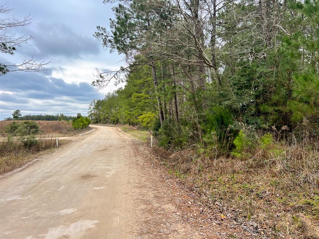 00000 Hardin Hideout Rd, Moscow, Texas image 11