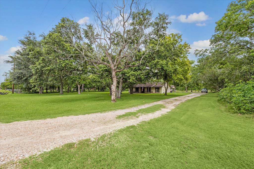 4503 County Road 888 Road, Rosharon, Texas image 2