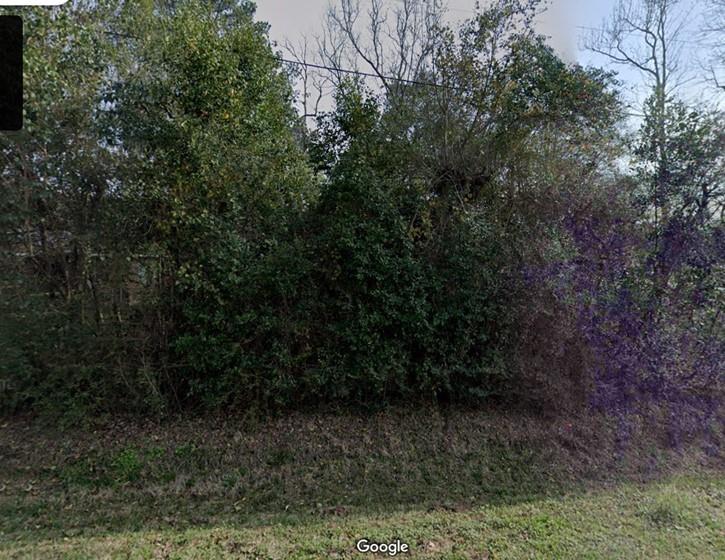 Carrell Street, Tomball, Texas image 3