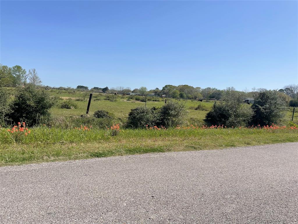 TBD County Rd 95/mustang Bayou Road, Manvel, Texas image 7