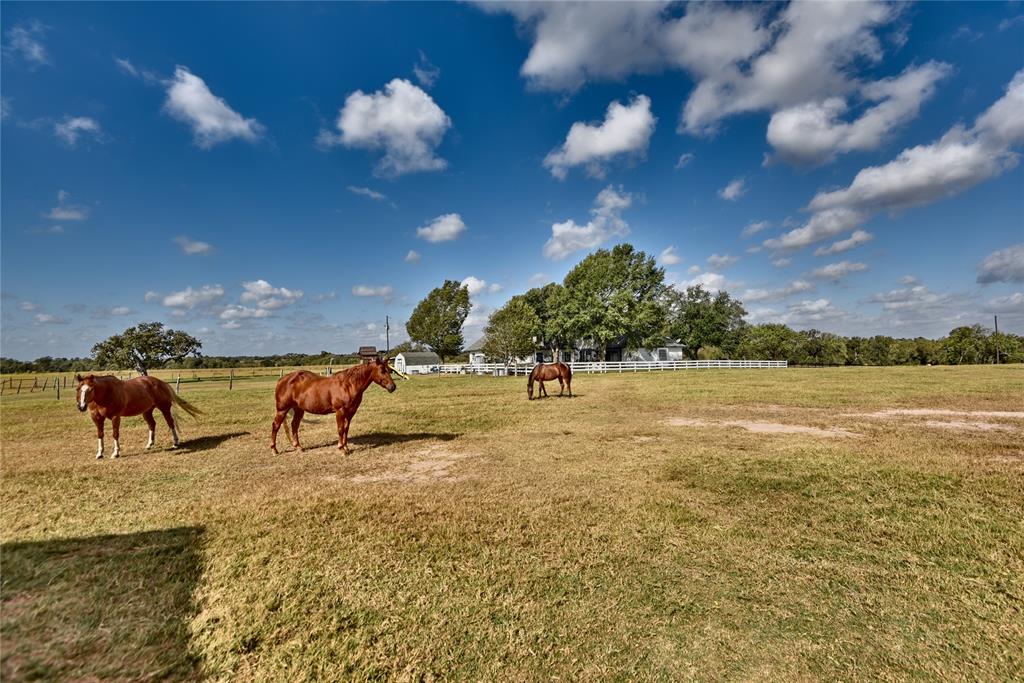 3151 Running River Lane Ln, Washington, Texas image 35