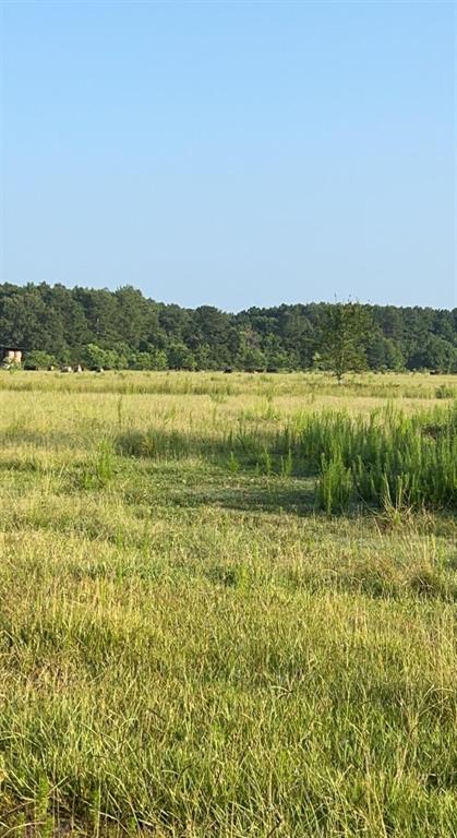 TBD County Road 2276, Cleveland, Texas image 3