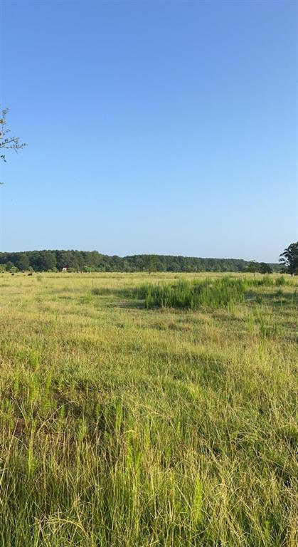 TBD County Road 2276, Cleveland, Texas image 1