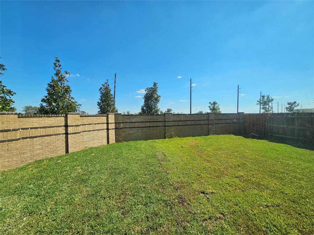 1119 Rustic Willow Drive, Beasley, Texas image 6