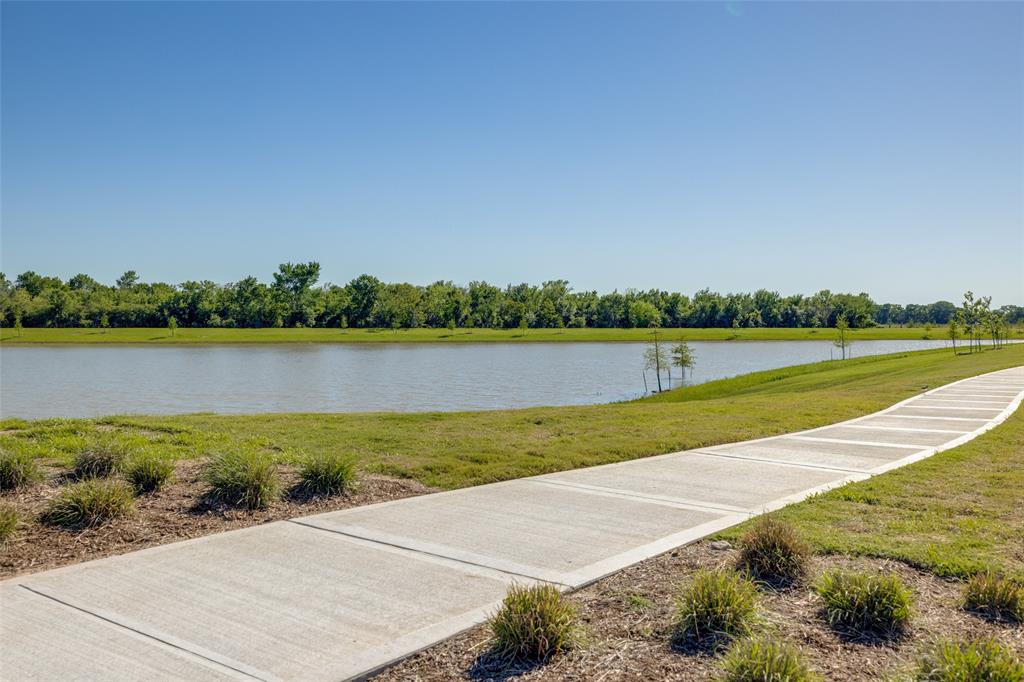 1119 Rustic Willow Drive, Beasley, Texas image 13