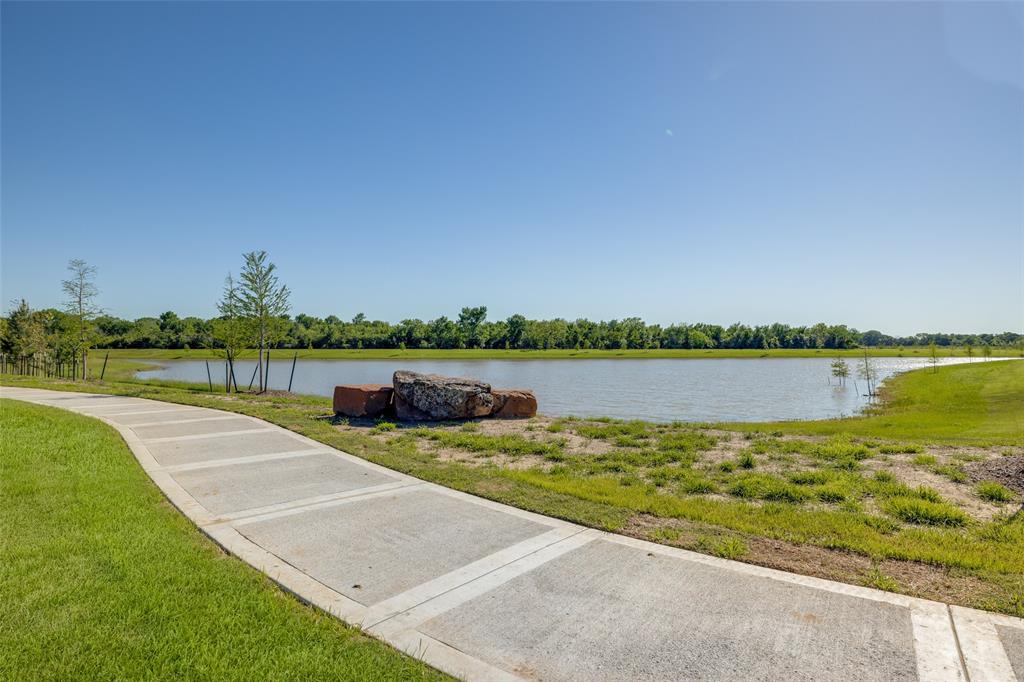 1119 Rustic Willow Drive, Beasley, Texas image 12