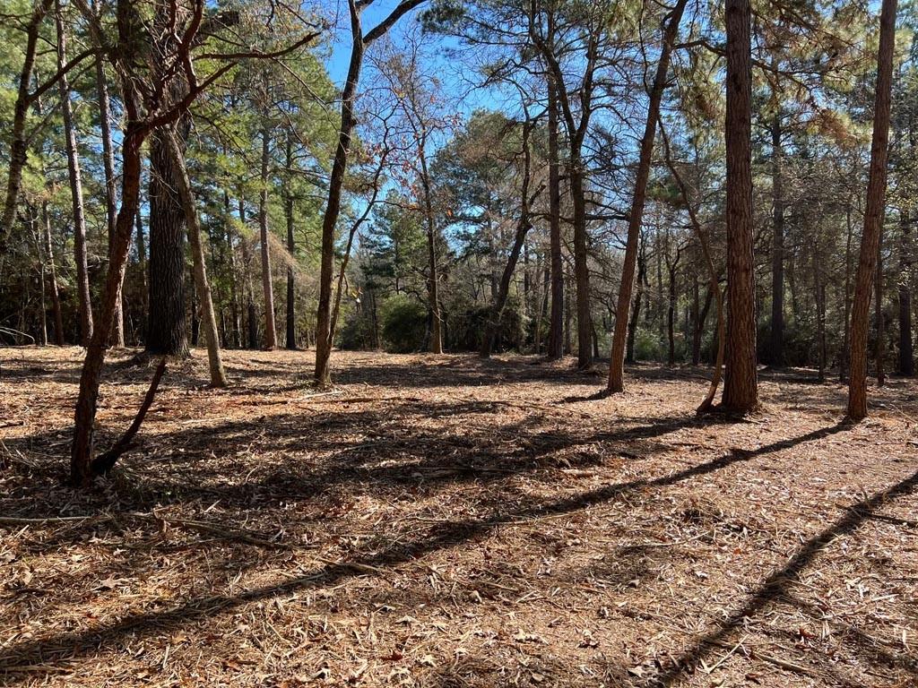0025 County Road 302, Plantersville, Texas image 17