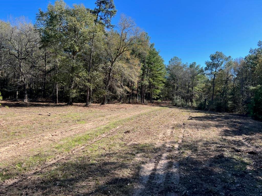 0025 County Road 302, Plantersville, Texas image 33