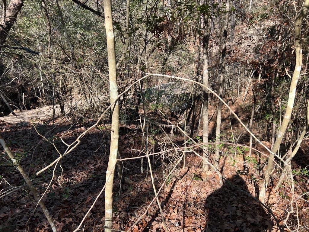 0025 County Road 302, Plantersville, Texas image 39