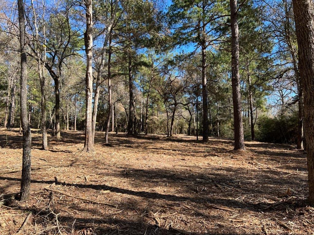 0025 County Road 302, Plantersville, Texas image 19