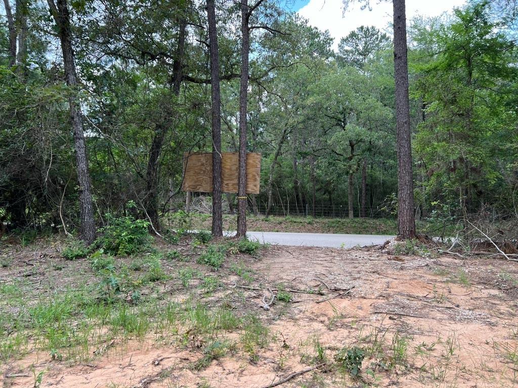 0025 County Road 302, Plantersville, Texas image 12