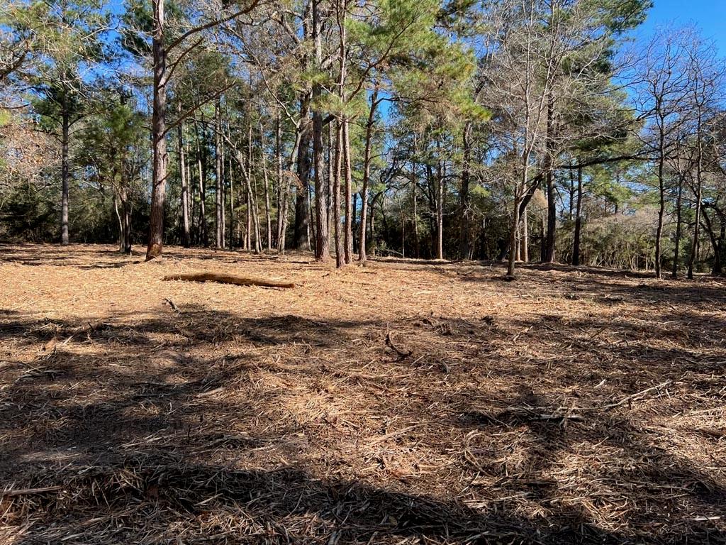 0025 County Road 302, Plantersville, Texas image 18