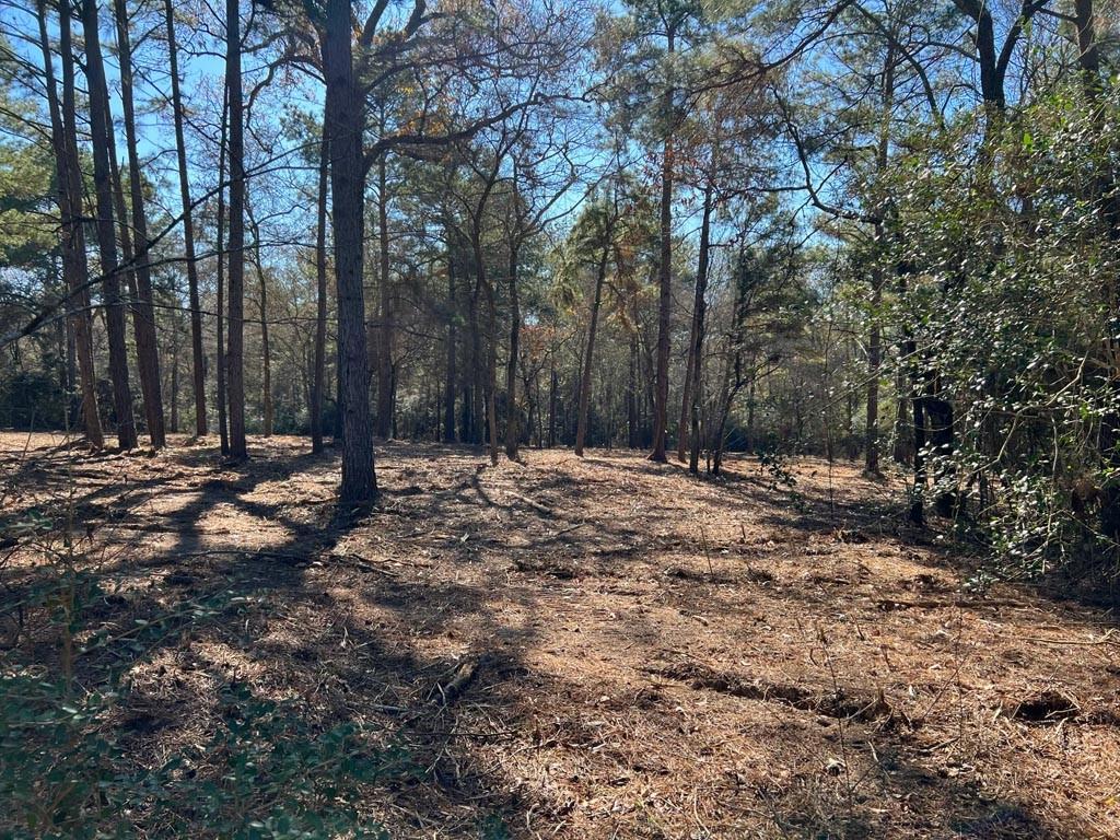 0025 County Road 302, Plantersville, Texas image 14