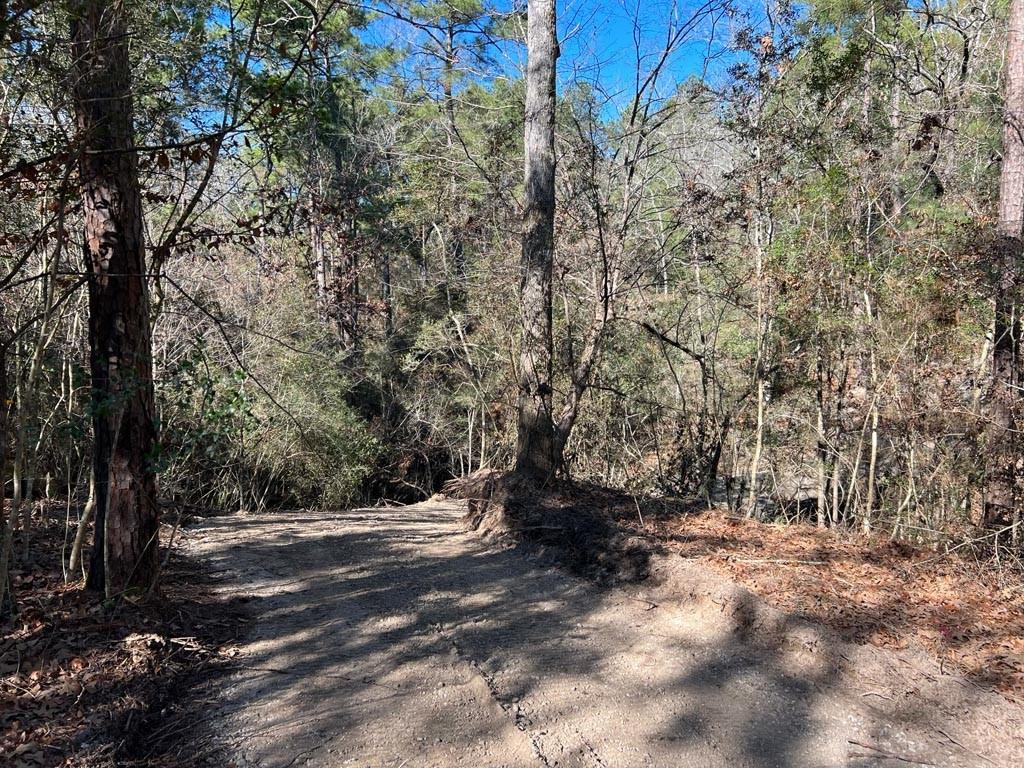 0025 County Road 302, Plantersville, Texas image 38