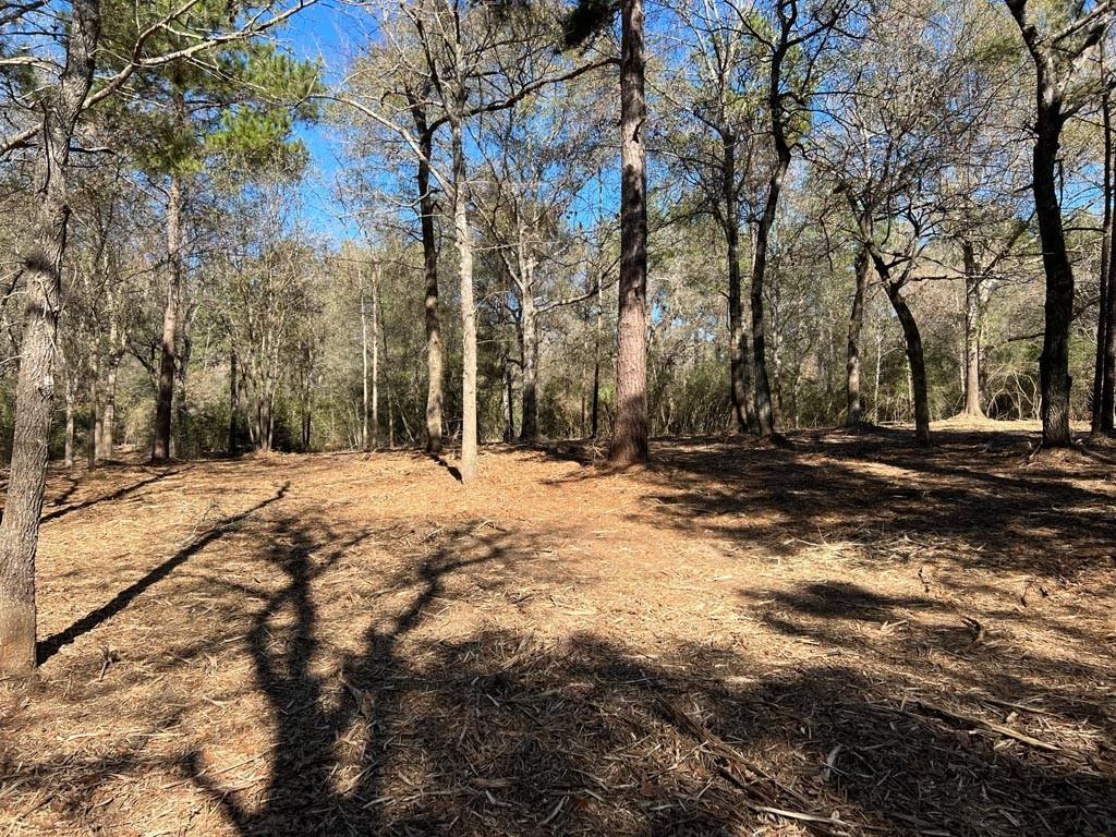 0025 County Road 302, Plantersville, Texas image 45