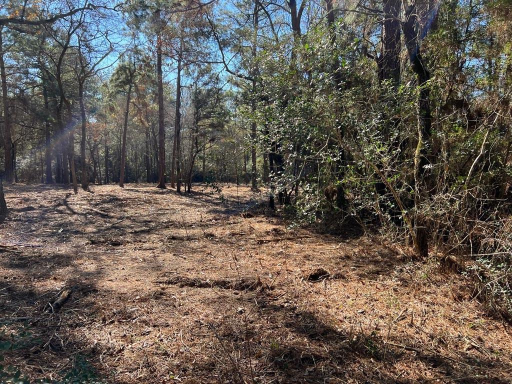 0025 County Road 302, Plantersville, Texas image 15