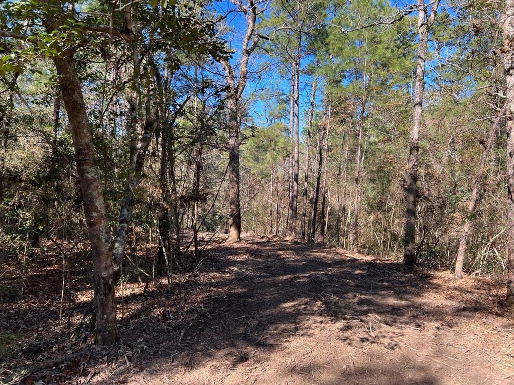 0025 County Road 302, Plantersville, Texas image 37