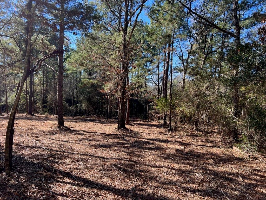 0025 County Road 302, Plantersville, Texas image 16