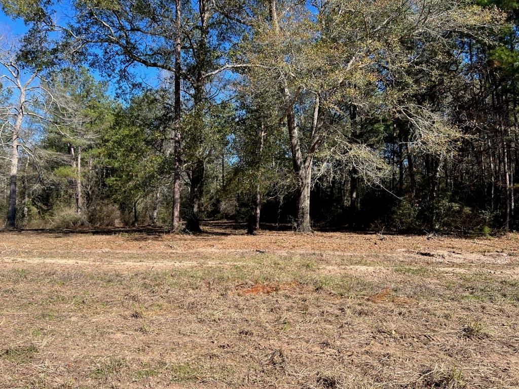 0025 County Road 302, Plantersville, Texas image 24