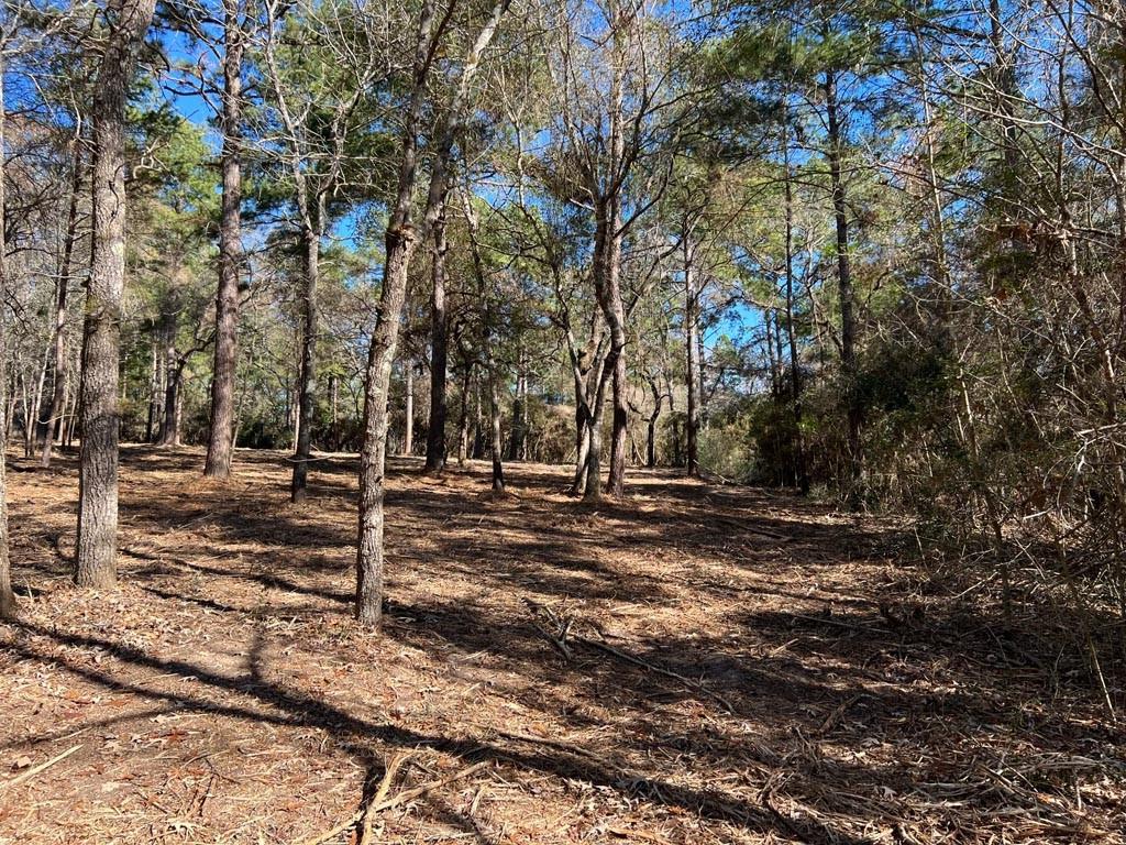 0025 County Road 302, Plantersville, Texas image 20