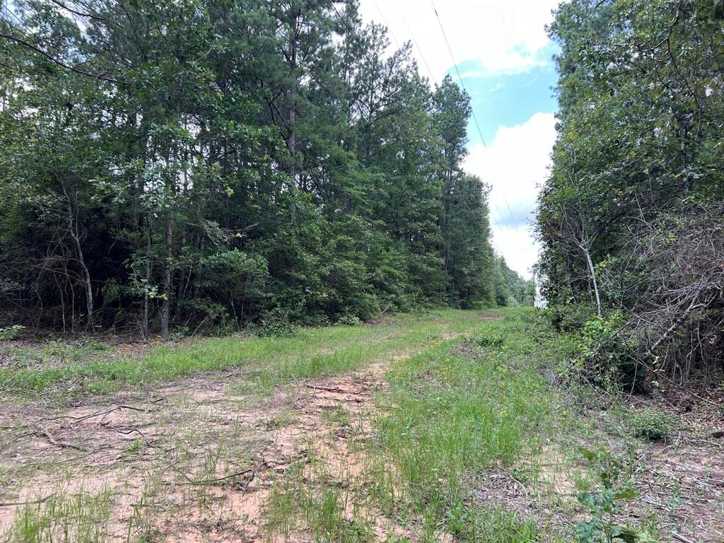 0025 County Road 302, Plantersville, Texas image 11