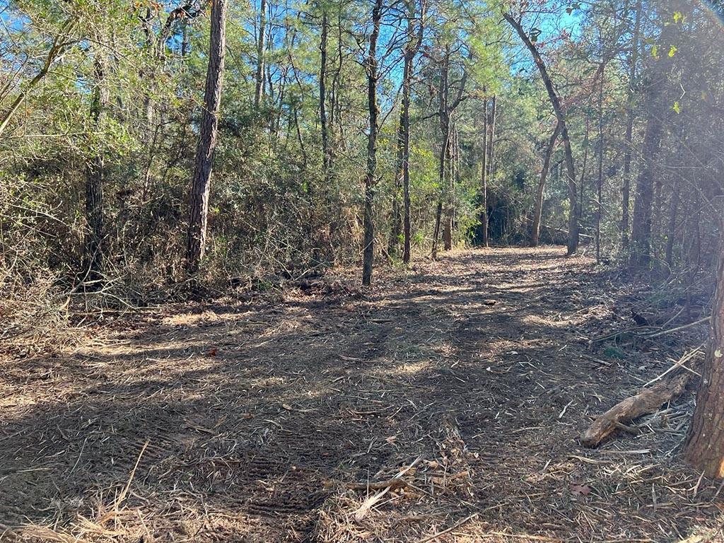 0025 County Road 302, Plantersville, Texas image 36