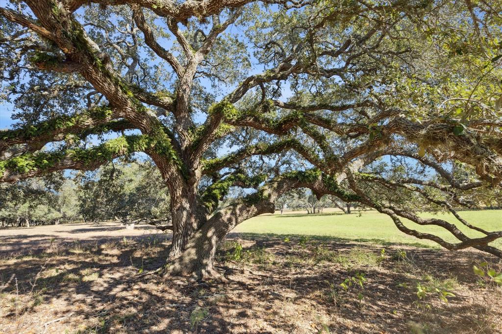 000 Koeppens Trail, Cat Spring, Texas image 6