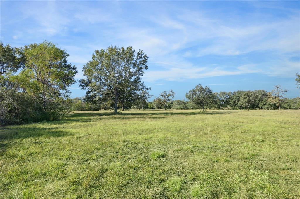 000 Koeppens Trail, Cat Spring, Texas image 9