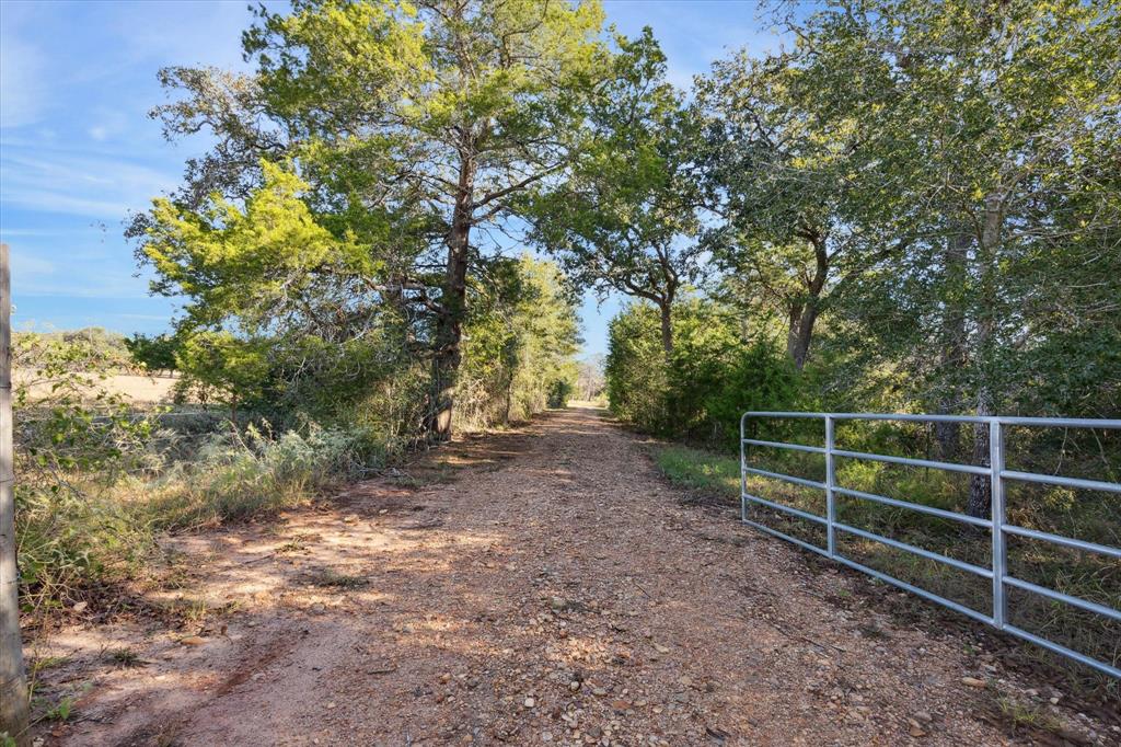 000 Koeppens Trail, Cat Spring, Texas image 2