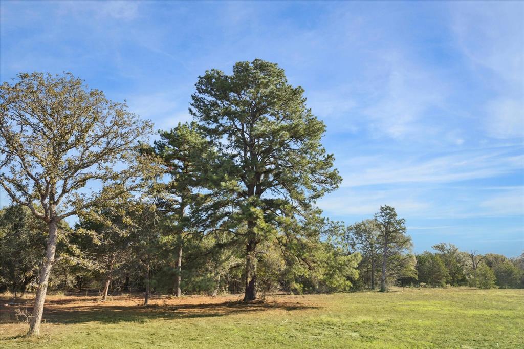 000 Koeppens Trail, Cat Spring, Texas image 10