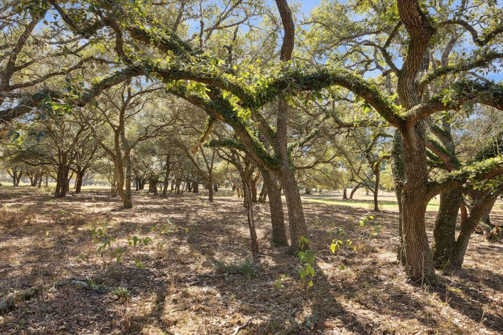 000 Koeppens Trail, Cat Spring, Texas image 15