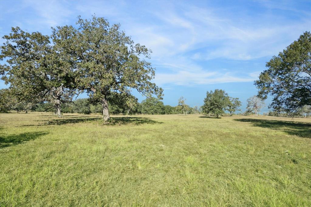 000 Koeppens Trail, Cat Spring, Texas image 8