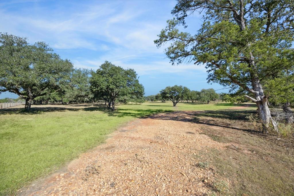 000 Koeppens Trail, Cat Spring, Texas image 3