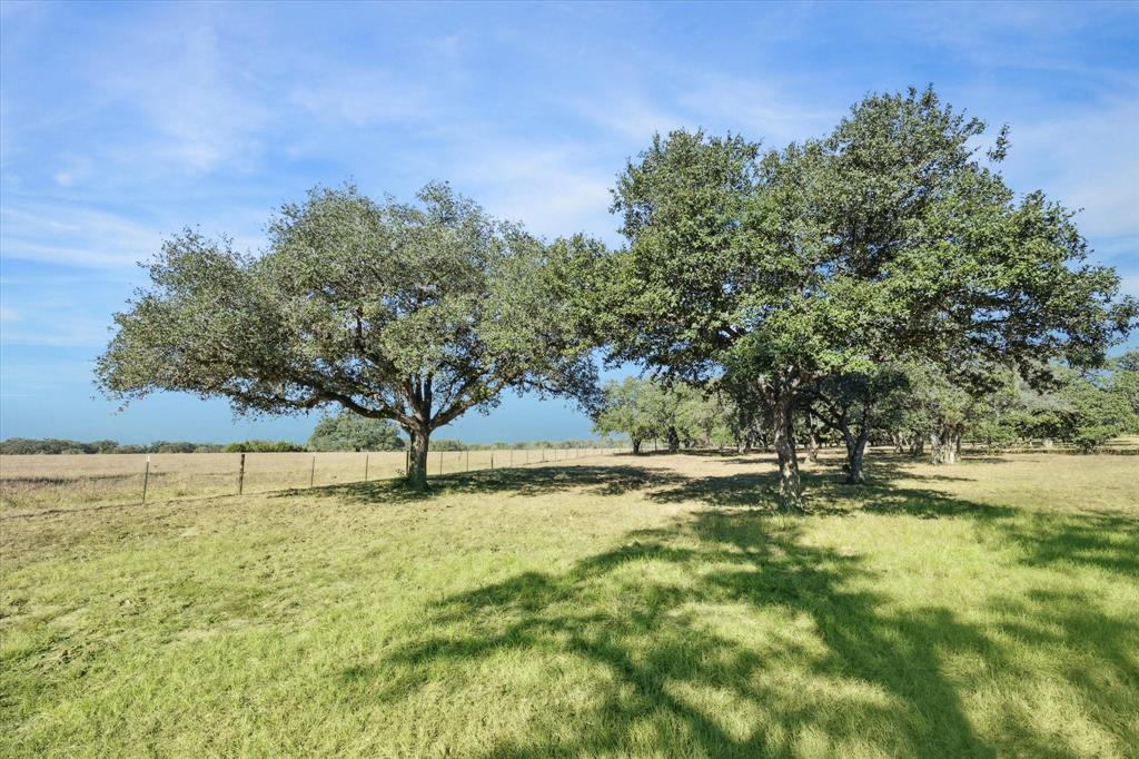 000 Koeppens Trail, Cat Spring, Texas image 4