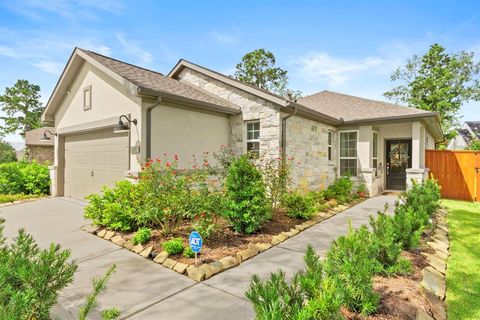 Photo of 247 N Wild Petunia Trail, Montgomery, TX 77316 (MLS # 25797839)