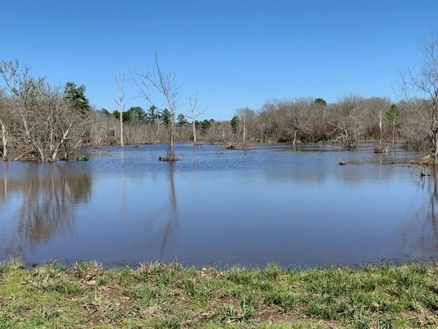 TBD End Of Union Springs Road, Corrigan, Texas image 42