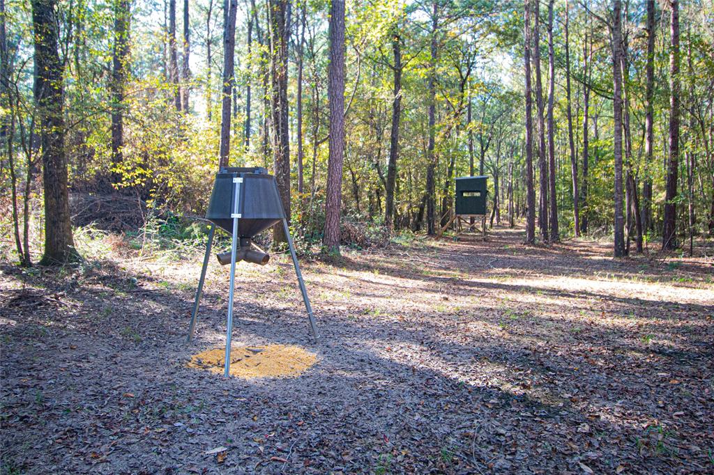 TBD End Of Union Springs Road, Corrigan, Texas image 29