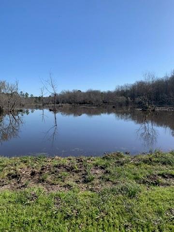 TBD End Of Union Springs Road, Corrigan, Texas image 40