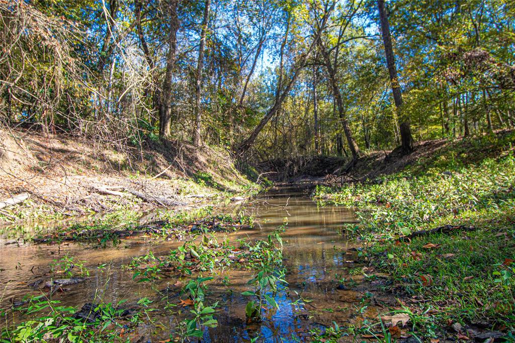 TBD End Of Union Springs Road, Corrigan, Texas image 34