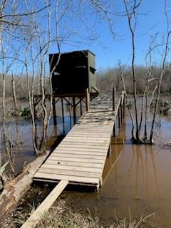 TBD End Of Union Springs Road, Corrigan, Texas image 46