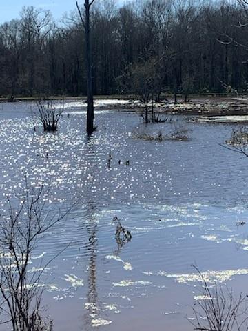 TBD End Of Union Springs Road, Corrigan, Texas image 43