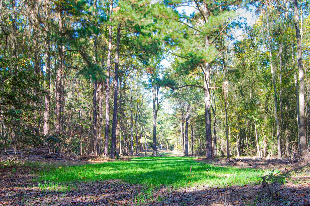 TBD End Of Union Springs Road, Corrigan, Texas image 30