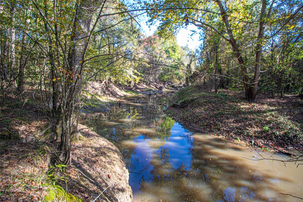 TBD End Of Union Springs Road, Corrigan, Texas image 35