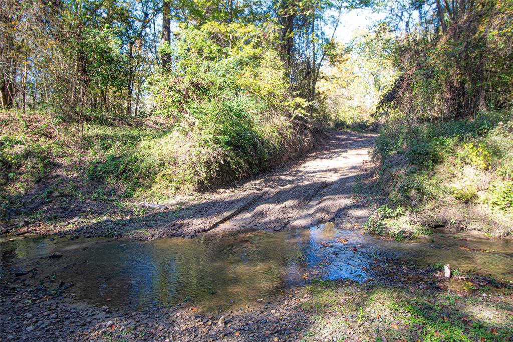 TBD End Of Union Springs Road, Corrigan, Texas image 33