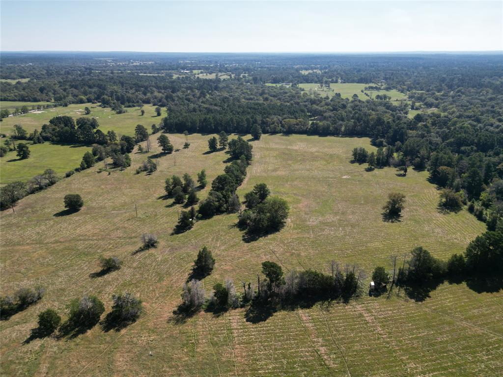 55 Acres Cr 146, Bedias, Texas image 15