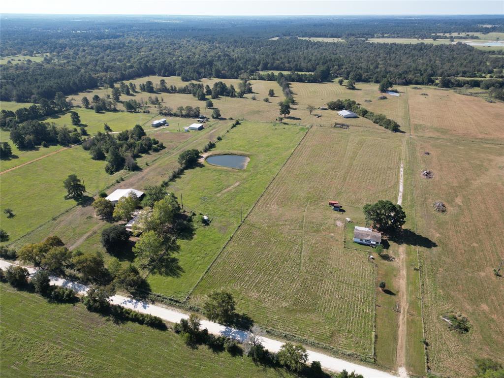 55 Acres Cr 146, Bedias, Texas image 18