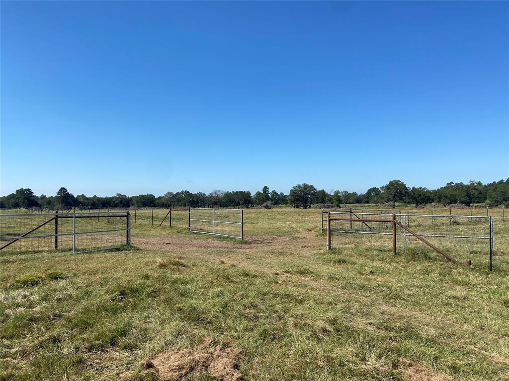 55 Acres Cr 146, Bedias, Texas image 9